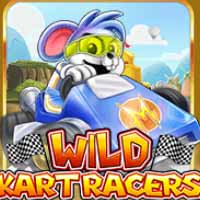 Wild Kart Racers